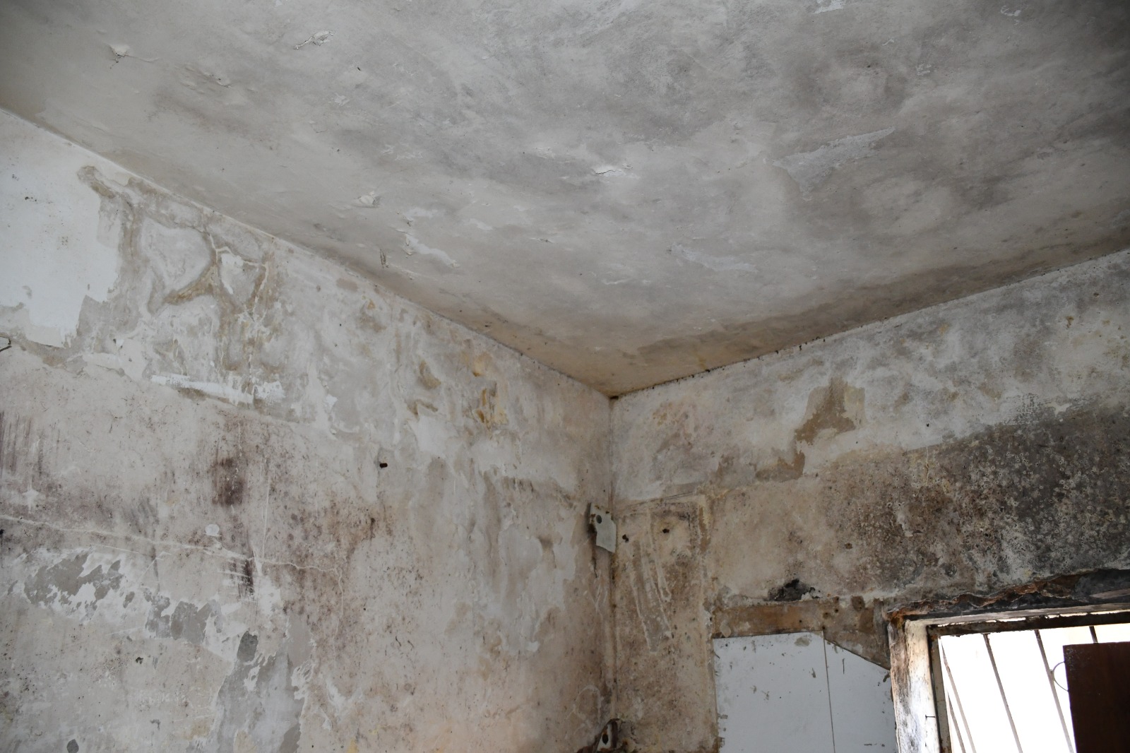 WhatsApp Image 2020-05-17 at 10.14.06 PM (2).jpeg.jpeg